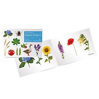 Active Minds: Summer Nature Explorer Photograph Book with Seasonal Textures | Outdoor Sensory Book for Alzheimers and Dementia