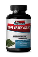 Premium Herbal Supplement - Klamath Blue Green Algae 500mg - Increase Energy Levels, Improve Digestion and Enhance Immune System (1 Bottle 60 Capsules)