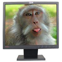 17" IBM ThinkVision L171 LCD Monitor (Black)