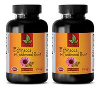 antioxidant Energy - Echinacea Extract & Goldenseal Root Complex - goldenseal New Body - 2 Bottles (200 Capsules)