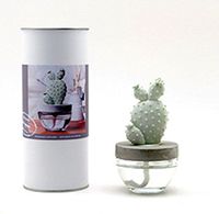 Cactus Diffuser Gift Set - Ocean Mist