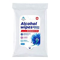 Detergent Wipes 10PCS Disposable Portable Wet Tissue Self-Protection Cleaning Pads for All-Purpose Cleaning