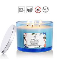 XYUT Citronella Candle Outdoor Indoor Aromatherapy Stress Relief Pure Soy Wax 3-Wick Scented Candles 80 Hour Burn Highly Scented Long Lasting (14.5 Ounce, Glass)
