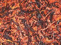 U Choose Size! Halloween Black & Orange Gift Basket Shred Crinkle Paper Filler (6 Oz Bag)