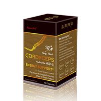 Sino-Sci 3G Cordyceps Energy Support – Immunity and Energy Booster,Lung and Kidney Health,40 Counts