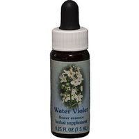 Water Violet Essence 7.40 Milliliters