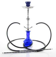 2 hose 20" Blue parrot Hookah nargila bar narguile nargile glass water Vase new