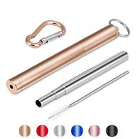 Collapsible Metal Straws,Six Colors Portable Reusable Straws Stainless Steel Drinking Straws with Case and Cleaning Brush Christmas Stocking Stuffers for Kids & Family (Champagne Gold)