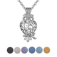 Zoint Owl Aromatherapy Essential Oil Diffuser Necklace Locket Pendant with 6 pcs Lava Rock Stones and 24" Link Chain