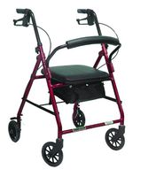 ProBasics Economy Rollator with Loop Brakes and Pouch