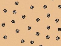 Black Paws"PAW Print" Tissue Paper for Gift Wrapping 15"x20" Kraft Brown Sheets (10 ct)