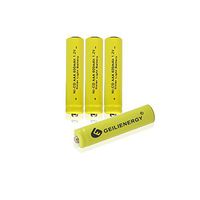 GEILIENERGY Solar Light Batteries AAA NiCd AAA 1.2V 600mAh Triple A Rechargeable Batteries for Solar Lamp (Pack of 4)
