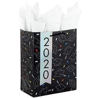 Hallmark 9" Medium Graduation Gift Bag with Tissue Paper (Black with Confetti and Holographic 2020)