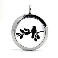 Stainless Steel Sparrow Aromatherapy Essential Oil Diffuser Necklace Carving Locket Pendant,10 Felt Pads