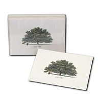 Earth Sky + Water - Live Oak Notecard Set - 8 Blank Cards with Envelopes