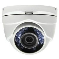 Alibi 2.1 Megapixel 1080p HD-TVI 65 ft IR Outdoor Dome Turret Security Camera