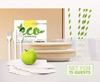 Eco Plastic and Paper Dinnerware Eco Party Set 120 Piece Serves 16 Biodegradable Cutlery and Cups Compostable Plates Recycled Napkins and Straws Plant Based Tableware