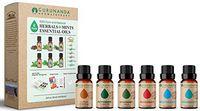 GuruNanda Herbals + Mints Essential Oils Set - Pure & Natural Therapeutic Grade Oil for Aromatherapy Diffuser - Clove - Peppermint - Rosemary - Invigorate - Breathe Easy - Tranquility