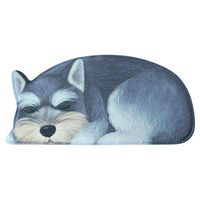 Thick Durable Carpet Soft Fluffy Easy To Care Water Absorption Good Carpet 3d Puppy Suede Carpet Door Mat