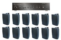 Large Restaurant/Bar/Retail Store Business Background Music Sound System- Amp, 12 Surface Speakers +