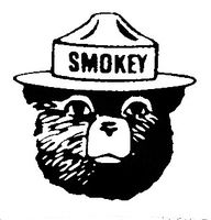 CCI Smokey The Bear Decal Vinyl Sticker|Cars Trucks Vans Walls Laptop| Black |5.5 x 5.25 in|CCI1539