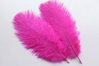 feathers 50PCS natural ostrich feathers 6-8 inch / 15-20 cm DIY wedding decoration