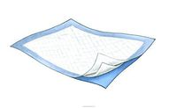 Durasorb Underpads, Durasorb Undrpd 23X24 Bulk, (1 CASE, 200 EACH)