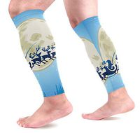 LEVEIS Moon Christmas Day Blue Reindeer Arm Sleeves UV Protection for Men Women Sunblock Protective Gloves Running Golf Cycling Driving Long Arm Cover 1 Pair