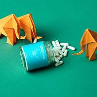 TruBrain Nootropic Capsules - Focus, Energy, Clarity. Fast Absorbing Nootropics Capsules | Brain Boosters | Improve Memory | Stop Procrastination