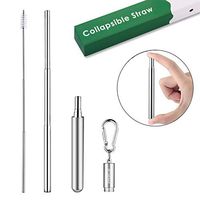 Telescopic Straw - Reusable Straw Keychain - Collapsible Stainless Steel Metal Straws with Case (Silver)