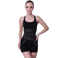 Waist Support Trimmer Belt Workout Exercise with Adjustable Wrap for Stomach and Back Support Large - WSB15L