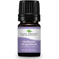 Plant Therapy Moldavian Dragonhead Essential Oil 5 mL (1/6 oz) 100% Pure, Undiluted, Therapeutic Grade