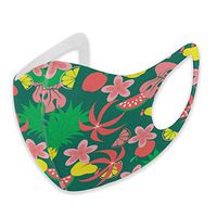 Mouth Masks for Dust Protection Anti Face Mask Washable Earloop Mask Pineapple