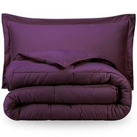 Premium 1800 Series Goose Down Alternative Hypoallergenic Comforter Set Twin/Twin XL/Plum