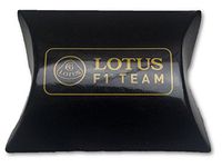 Lotus F1 Team Earplugs