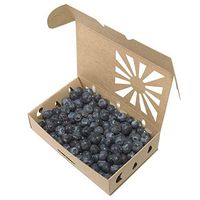 Biodegradable Recyclable Sustainable Organic Produce Fruit Container (150 Low Profile Pint/case)
