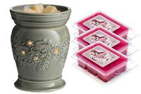 Perennial Illumination Fragrance Warmer Gift Set with 3 Courtneys Wax Melts - Strawberry-Vanilla