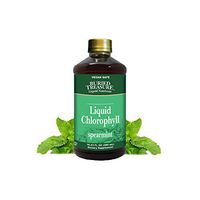 Buried Treasure Liquid Chlorophyll 100 mg Dietary Supplement, Energy Boost Immune Support Detox Intestinal Digestive Support Natural Body Deodorant Vegan Non-GMO Alcohol Free Spearmint Flavor,16 oz