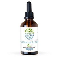 Goldenseal Leaf A120 Alcohol Herbal Extract Tincture, Super-Concentrated Responsibly farmed Organic Goldenseal Leaf (Hydrastis Canadensis) Dried Leaf (4 fl oz)