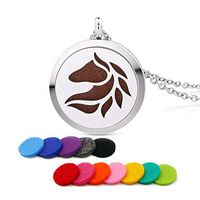 GIONO Stainless Steel Animal Beast Horse Aromatherapy Essential Oil Diffuser Amulet Necklace Carving Locket Pendant,12 Felt Pads