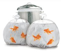 Suck UK Goldfish Happy Sack Bin Bags
