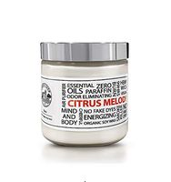 Citrus Melody Scented Candle Made from Premium Soy Wax Made with Natural Essential Oils - Long Lasting Pet Odor Eliminator by Candle Farm