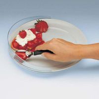 SureFit Plastic Food Guard Clear