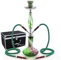 GStar 22" 2 Hose Hookah Complete Set with Optional Carrying Case - Swirl Art Glass Vase (Living Green w/Case)