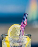 Hummingbird Glass Straws ZOE Pink Gecko on Clear Straight 9 in x 9.5 mm With Cleaning Brush