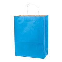 Hallmark 13" Large Gift Bag - Blue Kraft for Hanukkah, Holidays, Birthdays, Baby Showers, Fathers Day or Any Occasion