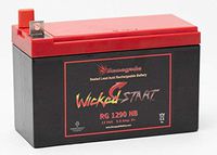 Renegade RG-1290NB 12V 9AH Rechargeable SLA Battery Replaces Generac 0G9449 GP5500E GP6500E GP7500E XP6500E Generator Battery 200+ CCA's