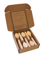 TMZ Eco - Natural Biodegradable Wooden Spoons 100 Piece. Disposable Wooden Utensils. Eco Friendly Alternative to Plastic. 100 Spoons.