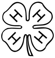 4-H Clover Kids Club - Sticker Graphic - Auto, Wall, Laptop, Cell, Truck Sticker for Windows, Cars, Trucks