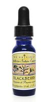 Blackberry Spirit-in-Nature Flower Essences for purity of thought 1/2 oz. (15 ml.)